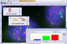 Olympus Count & Measure Solution module for the cellSens Dimension software suite